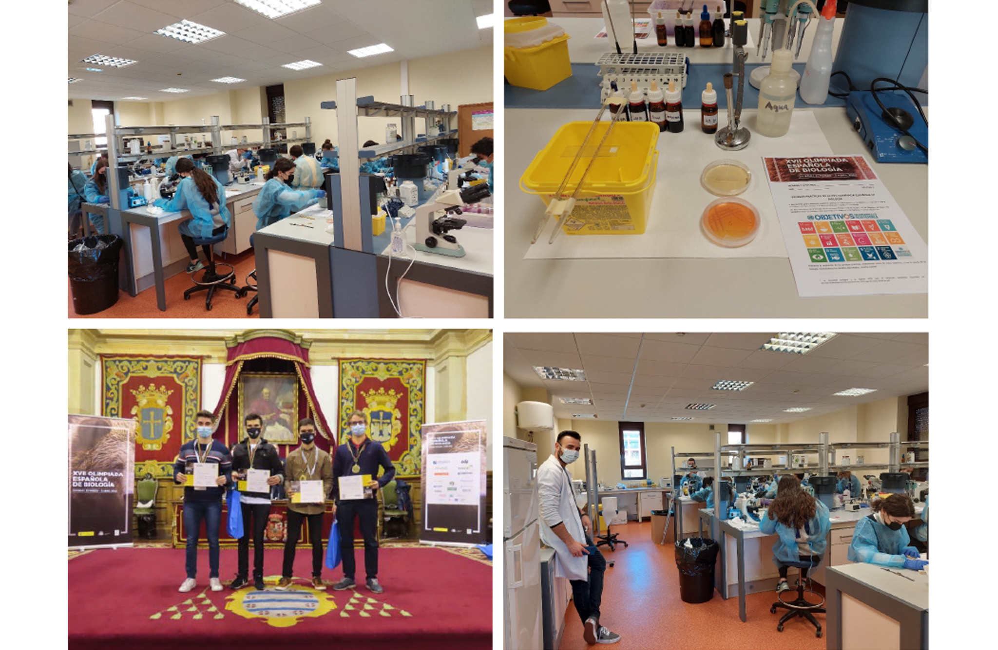 Spanish National Biology Olympiad SynBio4Flav